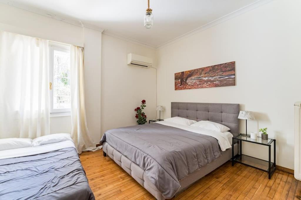 Amazing 3Bdr Apt With Unique Roof Garden In Plaka Atény Exteriér fotografie