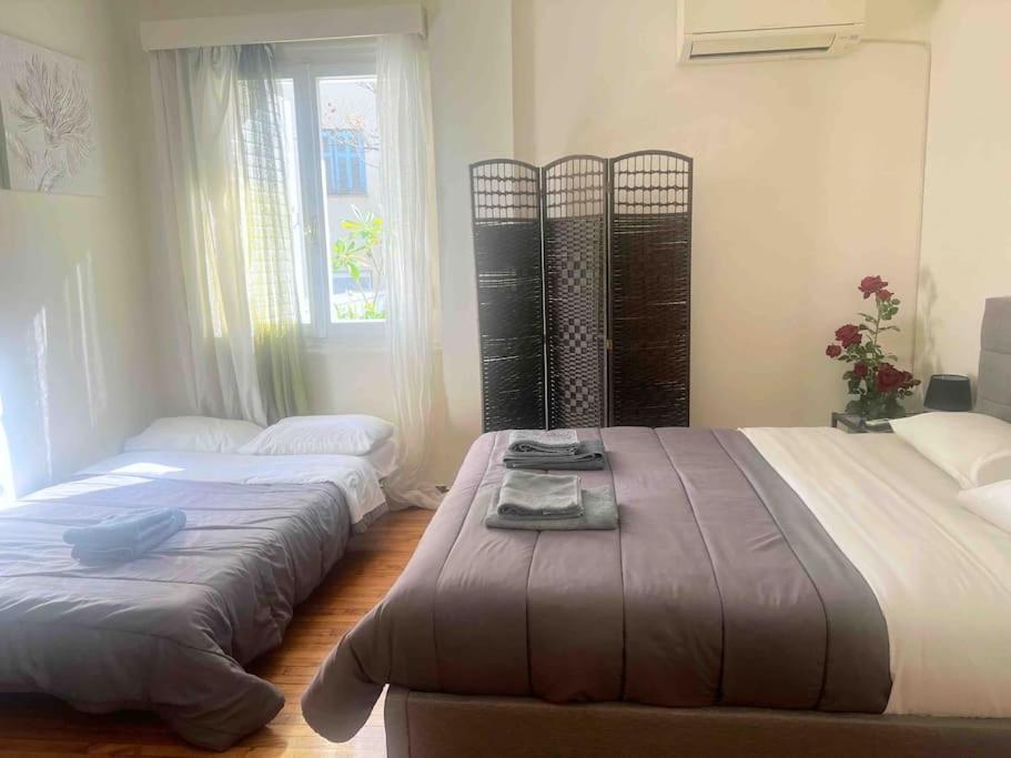 Amazing 3Bdr Apt With Unique Roof Garden In Plaka Atény Exteriér fotografie